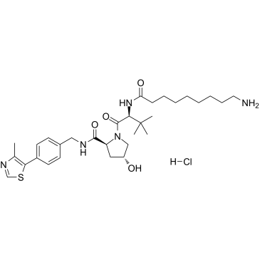 2376139-49-8	(S,R,S)-AHPC-C8-NH2 (hydrochloride)   PROTAC(蛋白降解靶向嵌合体)