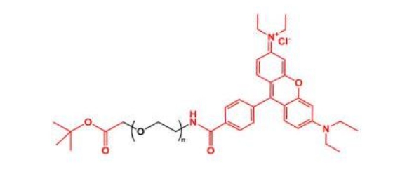 罗丹明聚乙二醇叔丁酯 RB-PEG-COOtBu