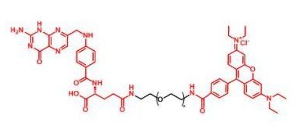 罗丹明聚乙二醇叶酸 RB-PEG-FA