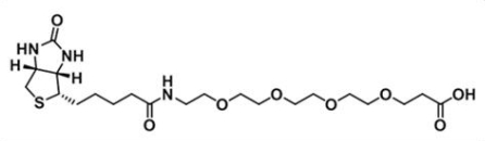 CAS 721431-18-1  Biotin-PEG4-COOH；Biotin-PEG4-Acid