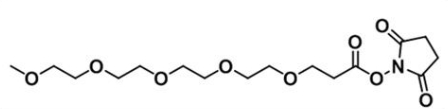 CAS 874208-94-3  m-PEG5-NHS ester  甲氧基-五聚乙二醇-活性酯