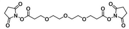 CAS 1314378-16-9 Bis-PEG3-NHS ester  活性酯三聚乙二醇活性酯