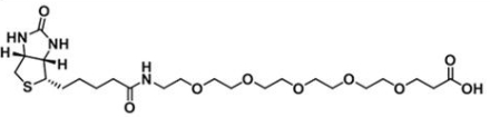 CAS 2252330-85-9  Biotin-PEG5-COOH  生物素五聚乙二醇丙酸