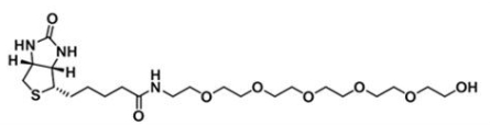 CAS 906099-89-6  Biotin-PEG6-OH  生物素-六聚乙二醇-羟基