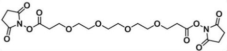 CAS 1314378-11-4  Bis-PEG4-NHS ester 活性酯四聚乙二醇活性酯