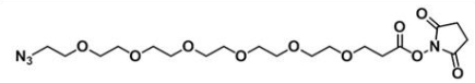 CAS C19H32N4O10  Azide-PEG6-NHS ester；N3-PEG6-NHS