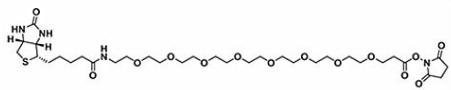 Biotin-PEG8-NHS ester；(+)-Biotin-PEG8-NHS Ester 生物素八聚乙二醇活性酯
