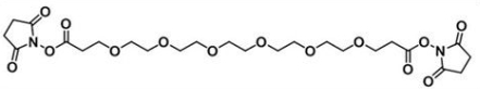CAS 1526718-98-8 NHS-PEG6-NHS ester；Bis-PEG6-NHS ester