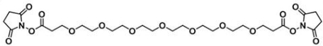 1334170-02-3 NHS-PEG7-NHS ester；活性酯七聚乙二醇活性酯