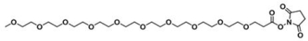 m-PEG10-NHS ester  甲氧基-十聚乙二醇-活性酯