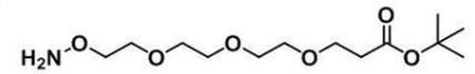 1835759-72-2 Amineoxy-PEG3-t-butyl ester  羟胺-三聚乙二醇-叔丁酯