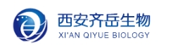 1807540-87-9 CHO-Ph-PEG3-NHBoc,对甲酰苯甲酰-三聚乙二醇-叔丁氧羰基