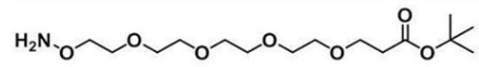 2100306-82-7 Amineoxy-PEG4-t-butyl ester 羟胺-四聚乙二醇-叔丁酯