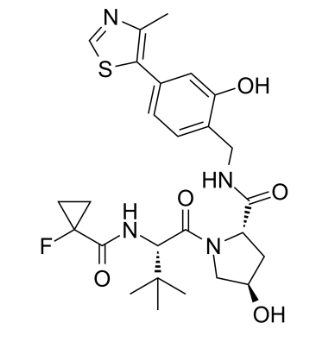 2306193-99-5，E3 ligase Ligand 19，PROTAC(蛋白降解靶向嵌合体)	