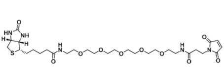  Biotin-PEG5-maleimide   生物素-五乙二醇-马来酰亚胺 分子式 C29H47N5O10S