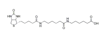  89889-51-0   LC-LC-(+)-Biotin  6-((6-((生物素基)氨基)己酰基)氨基)己酸