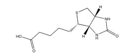  58-85-5 (+)-Biotin; D-Biotin   D-生物素