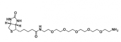 113072-75-6 Biotin-PEG5-amine 生物素-五乙二醇-氨基