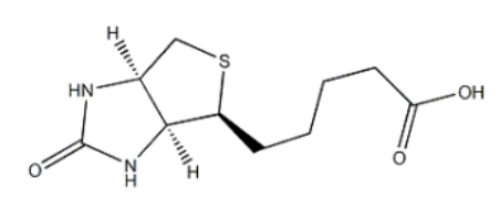  22377-59-9 DL-Biotin; DL-生物素