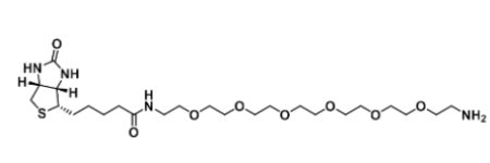 Biotin-PEG6-Amine 生物素-六乙二醇-氨基  分子式 C24H46N4O8S