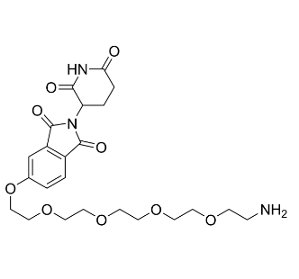 2460263-40-3，Thalidomide-PEG5-NH2，PROTAC(蛋白降解靶向嵌合体)