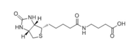 35924-87-9  4-((Biotinoyl)amino)Butyric acid 生物素酰基-4-氨基丁酸