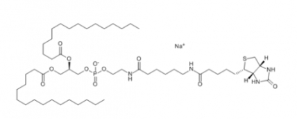 384835-52-3  Dppe-cap-biotin 1,2-二棕榈酰-sn-甘油-3-磷酸乙酰胺-N-生物素