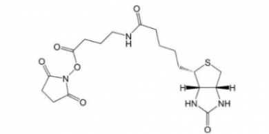 258289-54-2   Biotin-丁氨酸-NHS  分子式 C18H26N4O6S