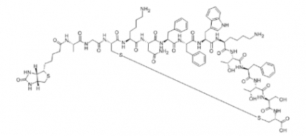 145251-83-8  Biotinyl-Somatostatin-14  生物素-生长抑素-14