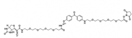 1628029-01-5  UV-Tracer Biotin NHS Ester  紫外线示踪生物素-琥珀酰亚胺酯