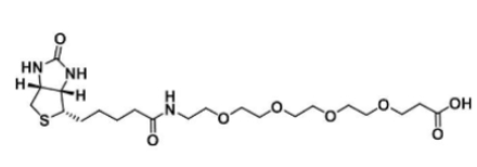 721431-18-1  Biotin-PEG4-acid  生物素-四乙二醇-羧基