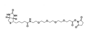 459426-22-3  Biotin-PEG4-NHS ester  生物素-四乙二醇-活性酯