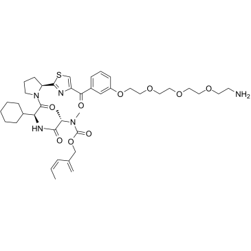 2357114-75-9	E3 ligase Ligand-Linker Conjugates 41 PROTAC(蛋白降解靶向嵌合体)