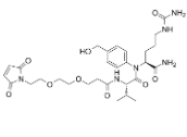 2055041-38-6	Mal-PEG2-Val-Cit-amido-PAB-OH PROTAC(蛋白降解靶向嵌合体)