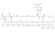2408741-87-5	Mal-PEG4-Glu(TFP ester)-NH-m-PEG24 PROTAC(蛋白降解靶向嵌合体)