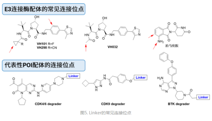 Benzyl-PEG9-Boc