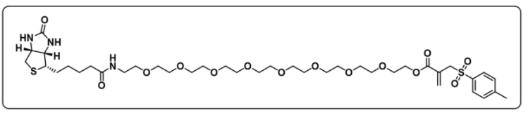 Biotin-PEG9-IC