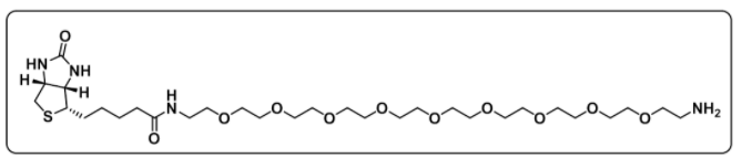 Biotin-PEG9-amine