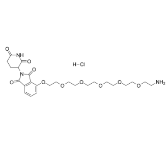 2341841-01-6，Pomalidomide-PEG6-NH2 hydrochloride，PROTAC(蛋白降解靶向嵌合体)	