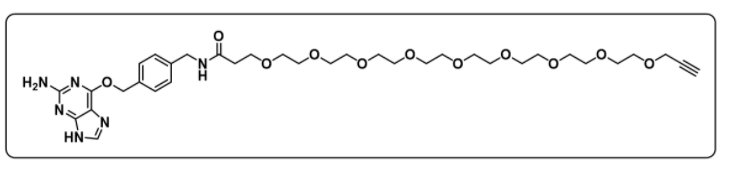Alkyne-PEG9-SNAP
