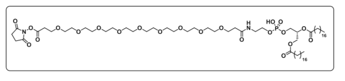 DSPE-PEG9-NHS ester