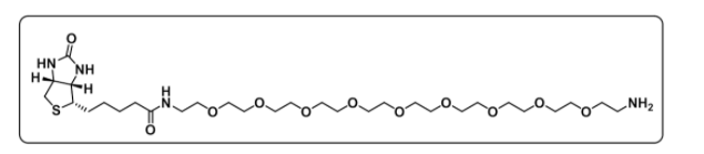 Biotin-PEG9-amine