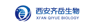Cu掺杂SiO_2复合气凝胶