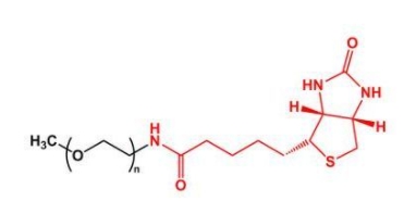 甲氧基PEG生物素  