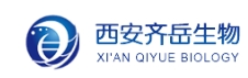 硅气凝胶掺杂碳笼团簇   齐岳定制