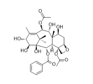 CAS :1623410-12-7  Baccatin IX  