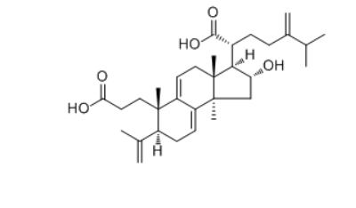  CAS :137551-38-3  Poricoic acid A  分子式：C31H46O5
