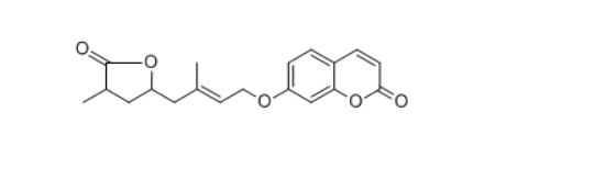 CAS :250293-25-5    Excavatin G  分子式：C19H20O5