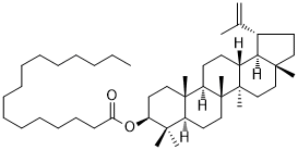CAS：32214-80-5   Lupeol palmitate 羽扇豆醇棕榈酸酯