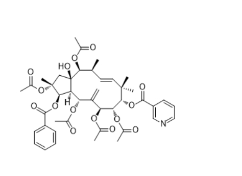 CAS ：670257-89-3  Pepluanin A  对叶大戟